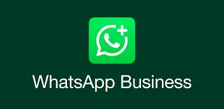 WhatsApp Business app icon with green background and white logo.