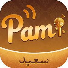 Pami – Chat & Group App 2026: Is It Worth Your Time?